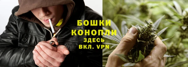 МДПВ Козельск