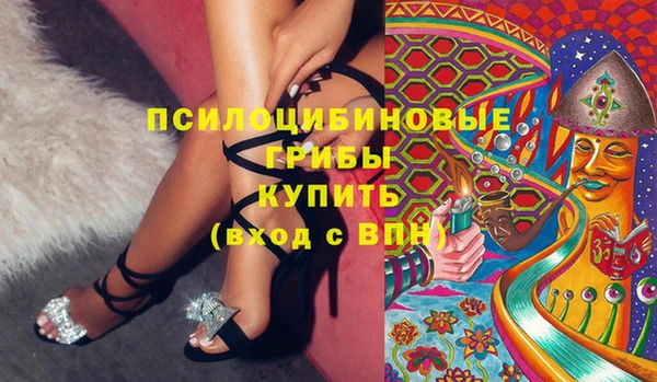 МДПВ Козельск
