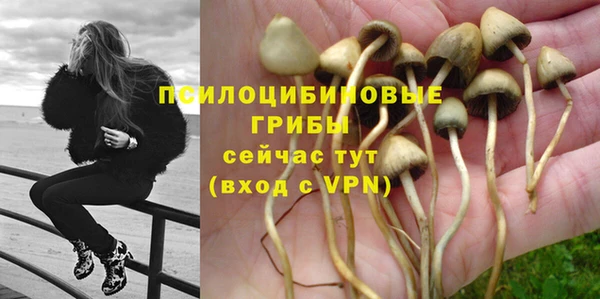 метадон Козловка