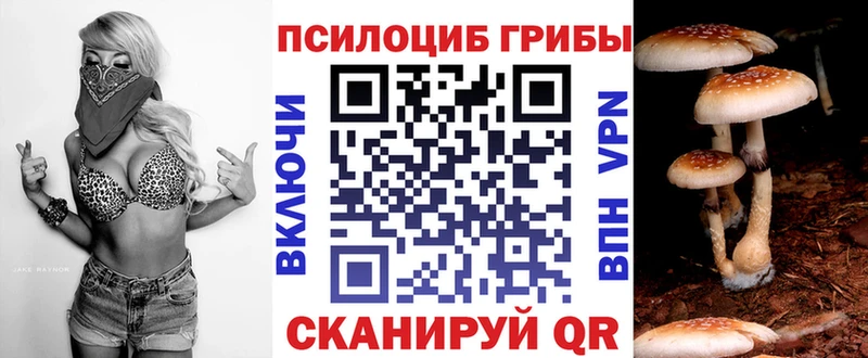 Галлюциногенные грибы прущие грибы  Черноголовка 
